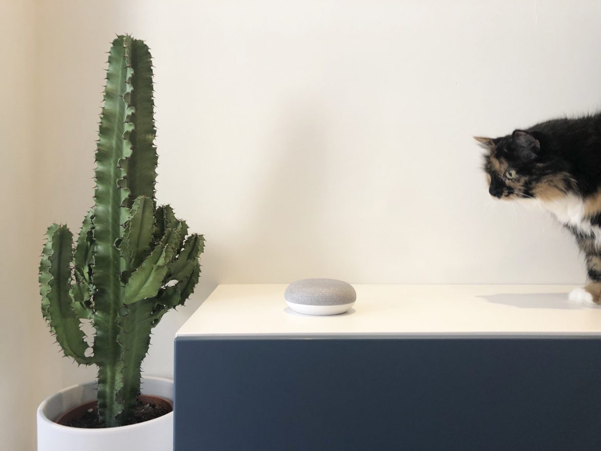 Slimme Gadget Google Home